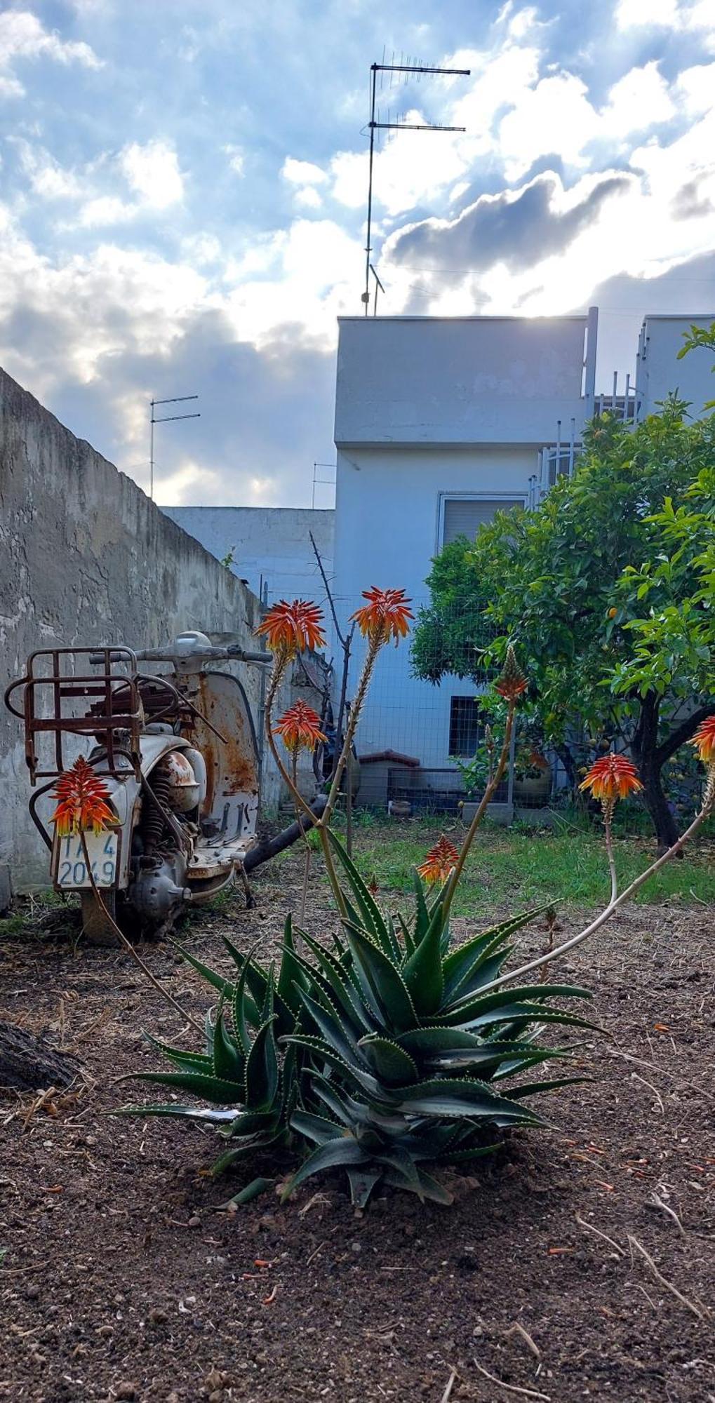 Jonia Appartamento Vacanze Vicino Al Mare Con Giardino Pulsano Exteriér fotografie